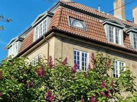Frederik Stang's Garden