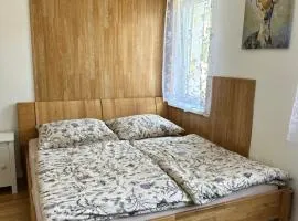Horský dům