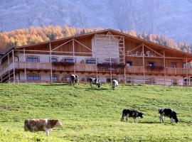 Lüch Da Pćëi, hotel a San Cassiano