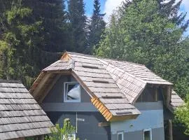 Planinska Priča