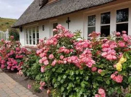 Haus Husen ID 430
