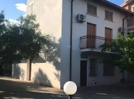 Tra gli ulivi