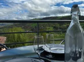 L'Erable T2 climatisé