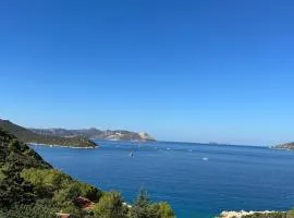 Kaktus Suites