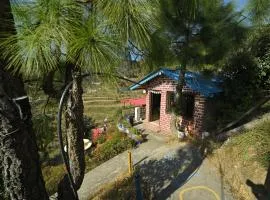 Shaantvan Homestay-Near Bhalughar Waterfall-Mukteshwar