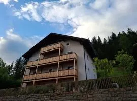 Panorama Latemar