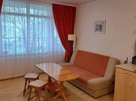 LS Central Apartment