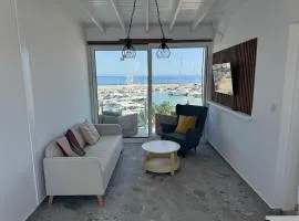 Latchi Marina Top View