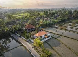 Dijero at Umah Bali