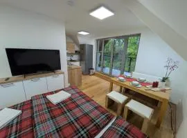 Apartmán A10 v centru Harrachova