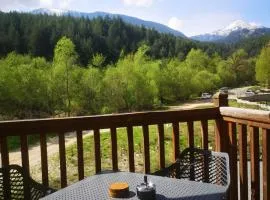 Woodsy views 1 bedroom apartment