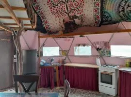 PinoPerdido Olías Málaga