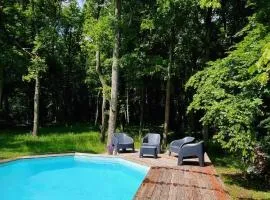 NALAN Godvicien, Spa, piscine chauffée, forêt, 14 pers