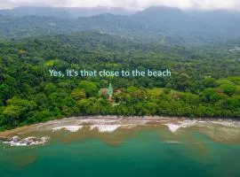 Chalet Tropical