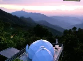 Natural Glamping La Vega