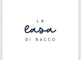 La casa di Bacco