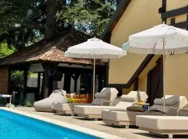 Vila Aleksić