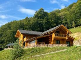 RALPH Cabin- Apuseni Mountains, Transylvania, khách sạn ở Bucium