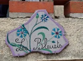 Les Bleuets