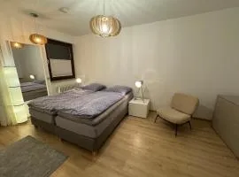 Altstadtoase an der Marientormauer