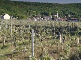 Duplex spacieux centre ville Parking sur place
