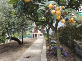 Johanna&rsquo;s house