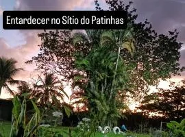 Sítio do patinhas