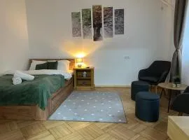 Affordable 1Br Apt in Downtown
