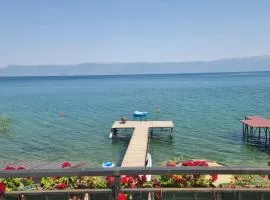 Vila Kladenci