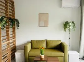 Charming green studio