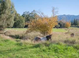 House Horse & Hound on Argelins