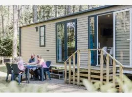 Tranquil pine forest chalet in Antwerp Kempen