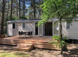Tiny house in the Antwerp Kempen