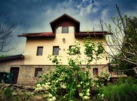 Căsuța Din Pădure Calimanesti, hotel din Călimăneşti