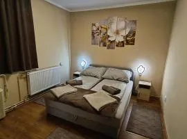 DebRentZen Station Apartman - business plus