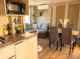 Mobile-home 4 à 6personnes au camping LES VIVIERS