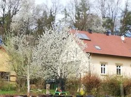 Ferienhaus Rötzer - Forsthausschmankerl