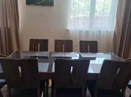 Comfortable Apartment in the City Centre