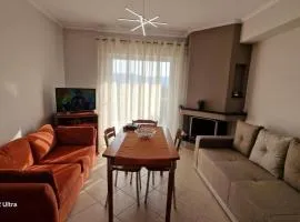 Antreas cosy apartment