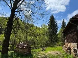 Căsuța din Vale
