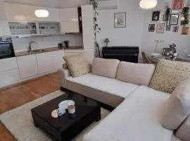 Apartman Pannonica Centar
