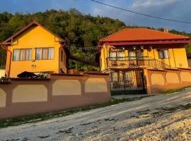 Casa Roșca