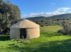 Yourte à la ferme des Bréguières