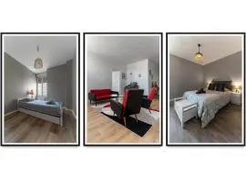 L'Aromate - Grand Appartement Centre Ville