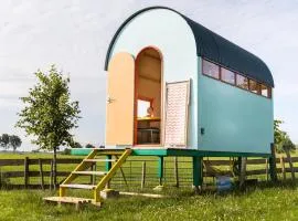 Hihahut De Vogelaar