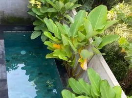 2 Bedroom Villa In Sanur Harbour