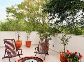 Apê Sunshine| Terraço| Interação com animais