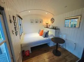 Luxury Countryside Shepherds Hut with Hot Tub