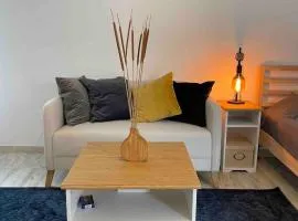 Spacious Studio in Sunny Villa Minutes to Beach