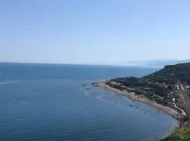 NFACCI o MARI